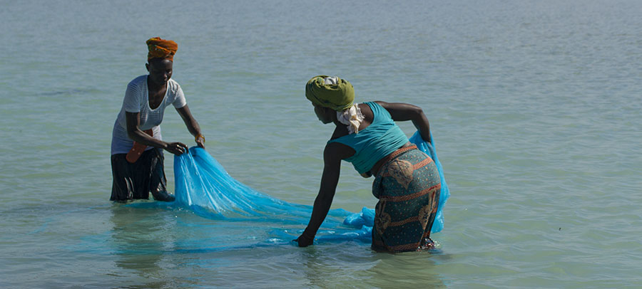 Women fishing in Mozambique along the coast